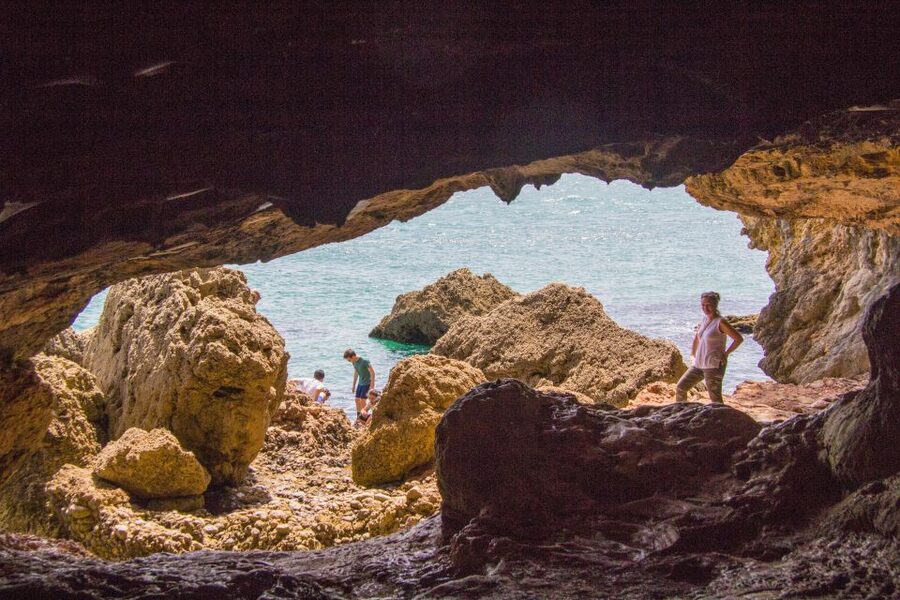From Lisbon: Arrábida Day Tour & Wine Tasting - Why this Setúbal day trip works so well from Lisbon