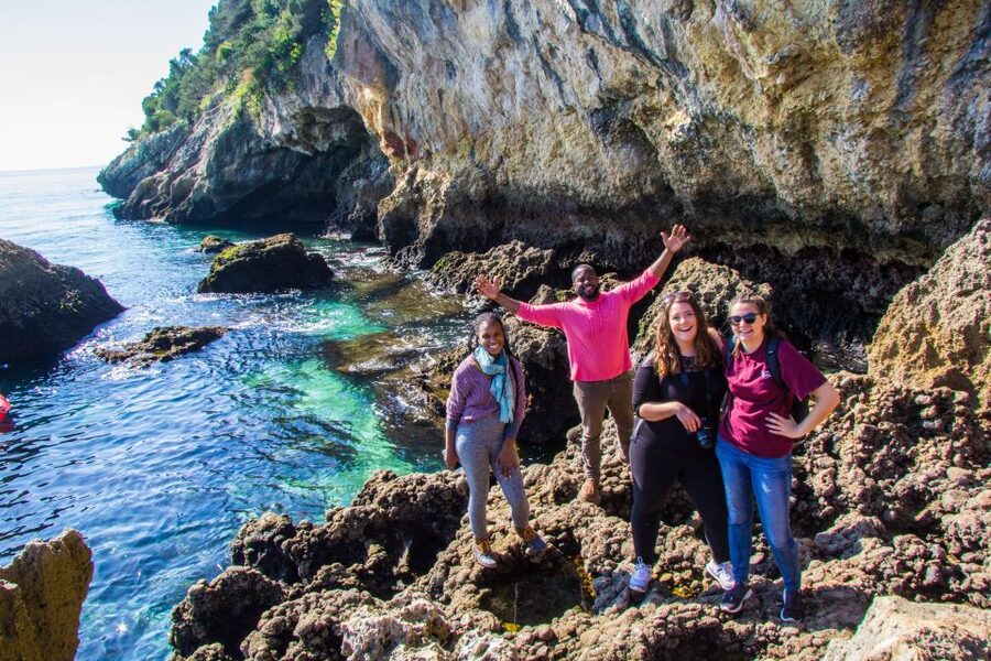 From Lisbon: Arrábida Day Tour & Wine Tasting - Miradouro do Portinho da Arrábida and the coastal views