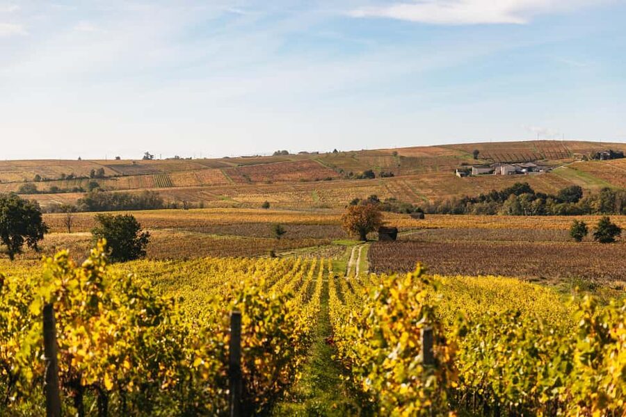 From Lyon: Beaujolais Wine Tour with Tastings - Leaving Lyon for Beaujolais country