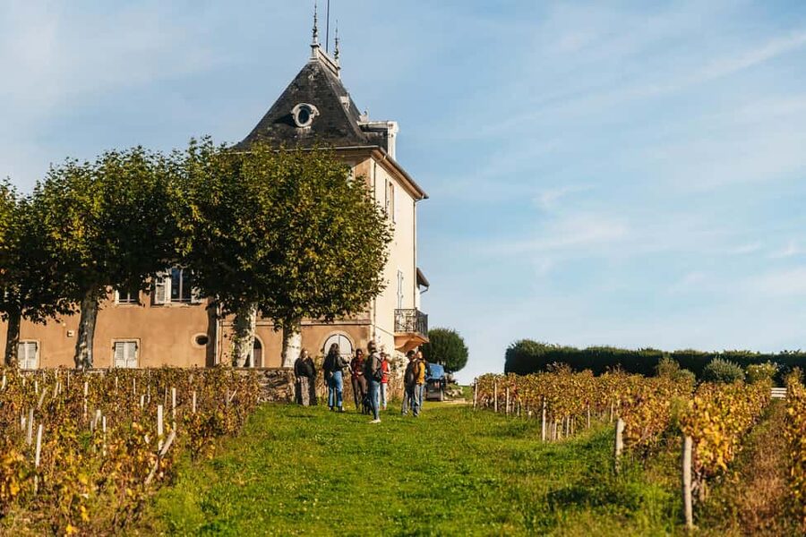 From Lyon: Beaujolais Wine Tour with Tastings - Why Beaujolais tastes different from village to village