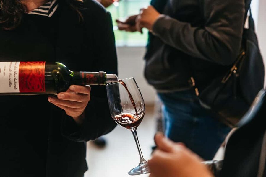 From Lyon: Beaujolais Wine Tour with Tastings - The second winery: comparison is the real lesson