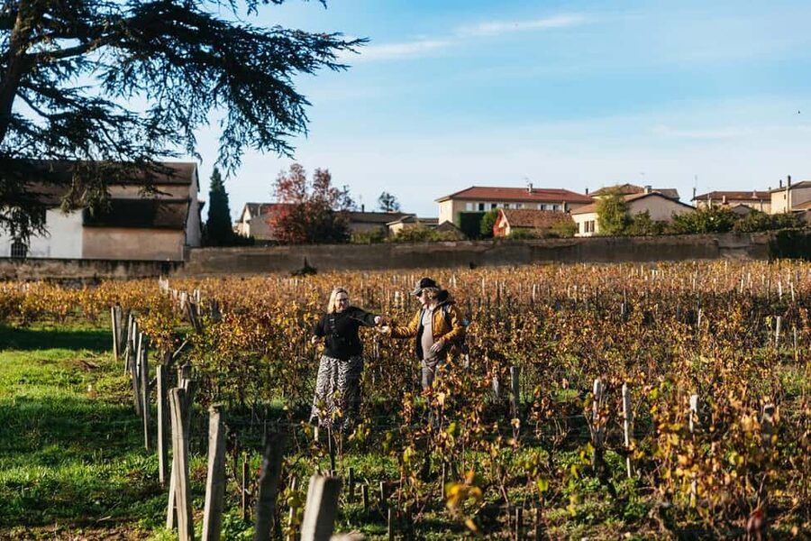 From Lyon: Beaujolais Wine Tour with Tastings - What $116 buys you
