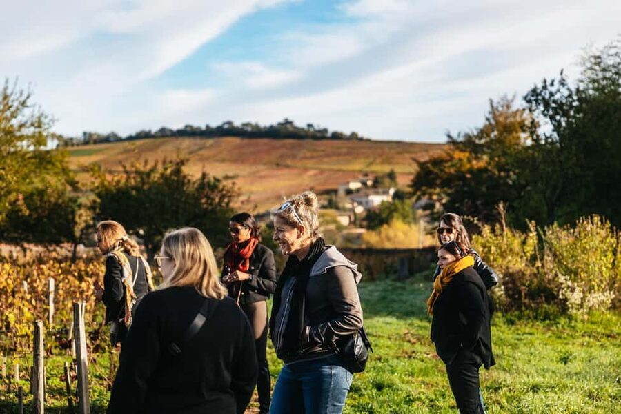 From Lyon: Beaujolais Wine Tour with Tastings - Who will enjoy this tour most