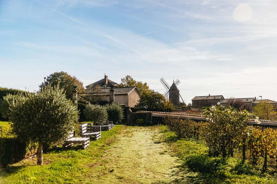From Lyon: Beaujolais Wine Tour with Tastings - Practical details before you book