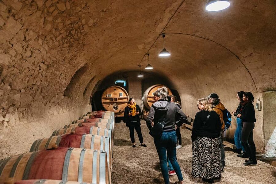 From Lyon: Beaujolais Wine Tour with Tastings - The first winery: meeting the people behind the bottles