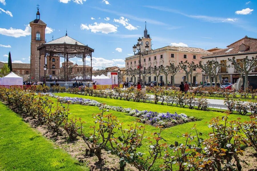 From Madrid: Alcalá de Henares, Winery Tour & Wine Tasting - Key points to know before booking