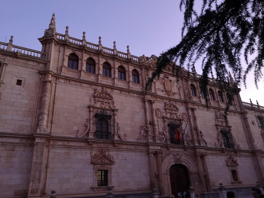 From Madrid: Alcalá de Henares, Winery Tour & Wine Tasting - Is $105 a fair price?
