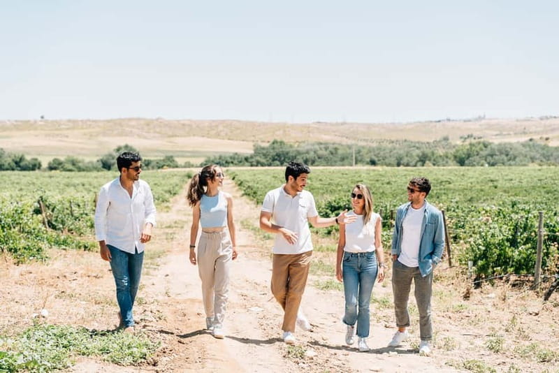 From Madrid: Toledo Guided Tour & Winery Visit with Tasting - Practical Advice Before You Go