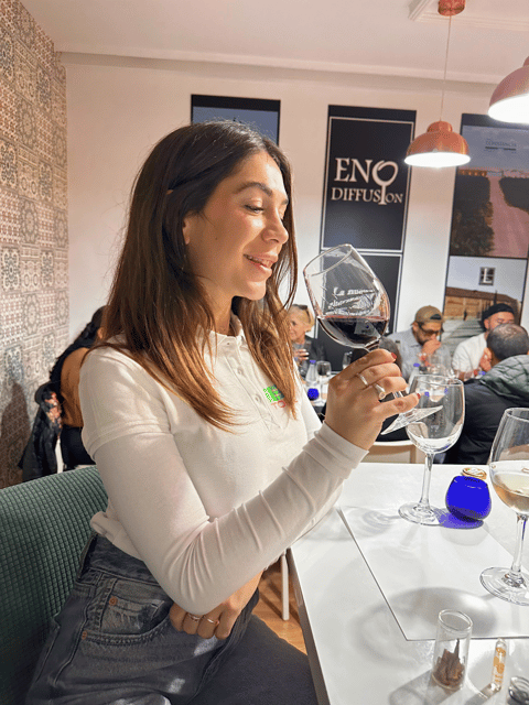From Madrid: Toledo Tour with Wine Tasting and 3 Monuments - Mirador del Valle: Toledo in one wide view