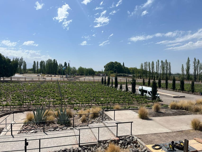 From Mendoza: 3 Wineries, Olive Oil Factory Tour & Tasting - The sweet-wine stop: a change of pace