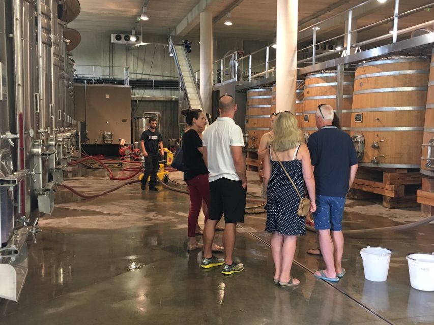 From Montpellier: Half-Day Vineyard & Pic Saint-Loup Tour - From Montpellier to the Pic Saint-Loup wine country