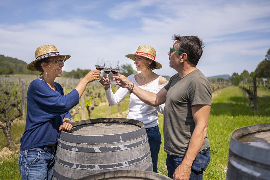 From Montpellier: Half-Day Vineyard & Pic Saint-Loup Tour - Second estate: compare styles, not just labels