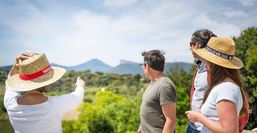 From Montpellier: Half-Day Vineyard & Pic Saint-Loup Tour - What the $93 price buys you