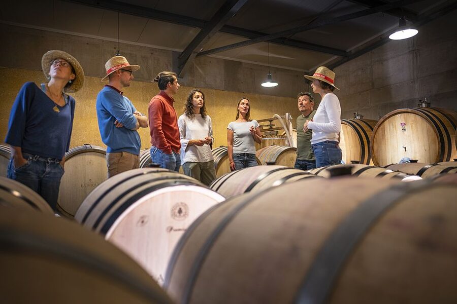 From Montpellier: Half-Day Vineyard & Pic Saint-Loup Tour - Should you book this half-day wine tour?