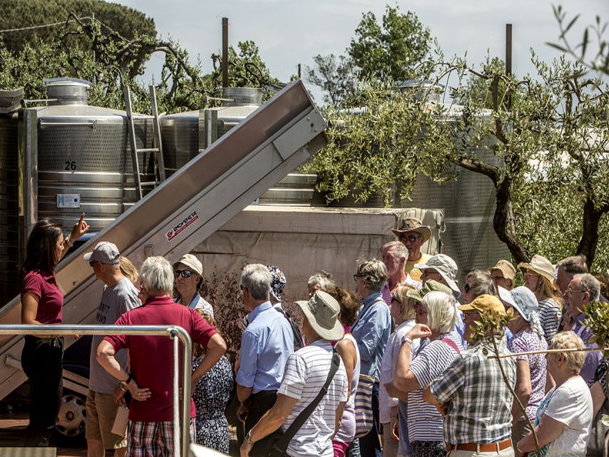 From Naples: Pompeii and Wine Tasting Tour with Lunch - Pompeii in two hours: enough for a first look
