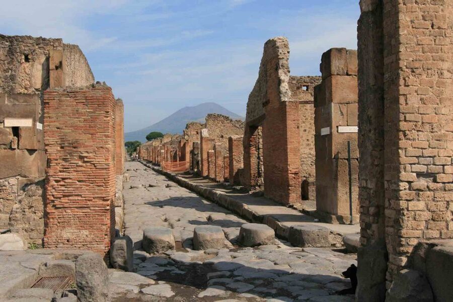 From Naples: Pompeii and Wine Tasting Tour with Lunch - Who will enjoy this tour most?