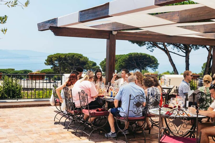 From Naples: Wine Tasting Tour on Vesuvius Slopes with Lunch - Why Vesuvius is the star of the tasting
