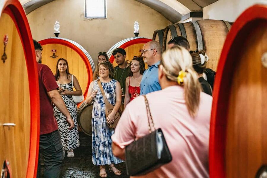 From Naples: Wine Tasting Tour on Vesuvius Slopes with Lunch - Lunch is a major part of the experience