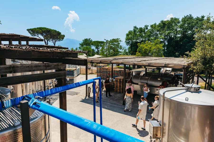 From Naples: Wine Tasting Tour on Vesuvius Slopes with Lunch - Who gets the best value from this tour