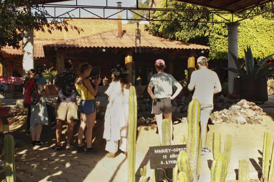 From Oaxaca de Juarez: Hierve el Agua and Mezcal Distillery - The journey from Oaxaca to the springs