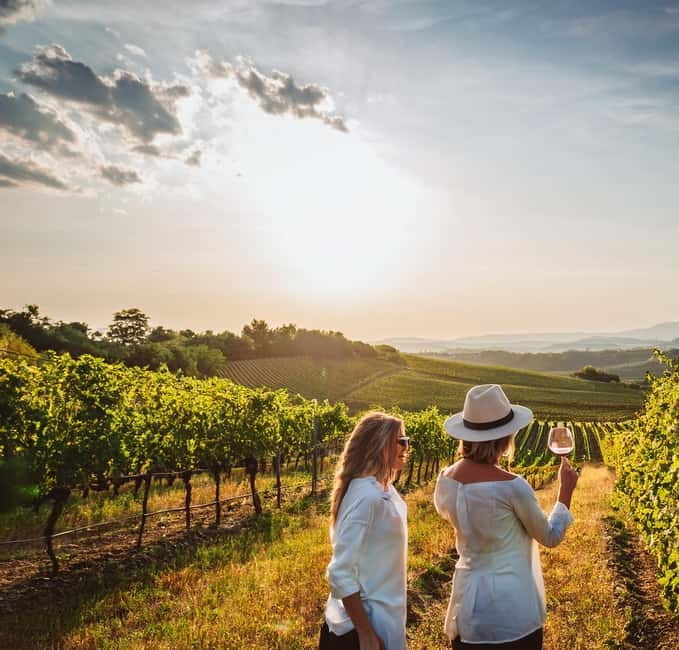 From Palma de Mallorca: Private Wine and Local Flavors Tour - A three-hour taste of Mallorca beyond Palma