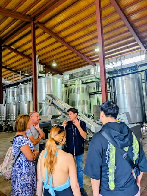 From Palma de Mallorca: Private Wine and Local Flavors Tour - Who should book this wine tour?
