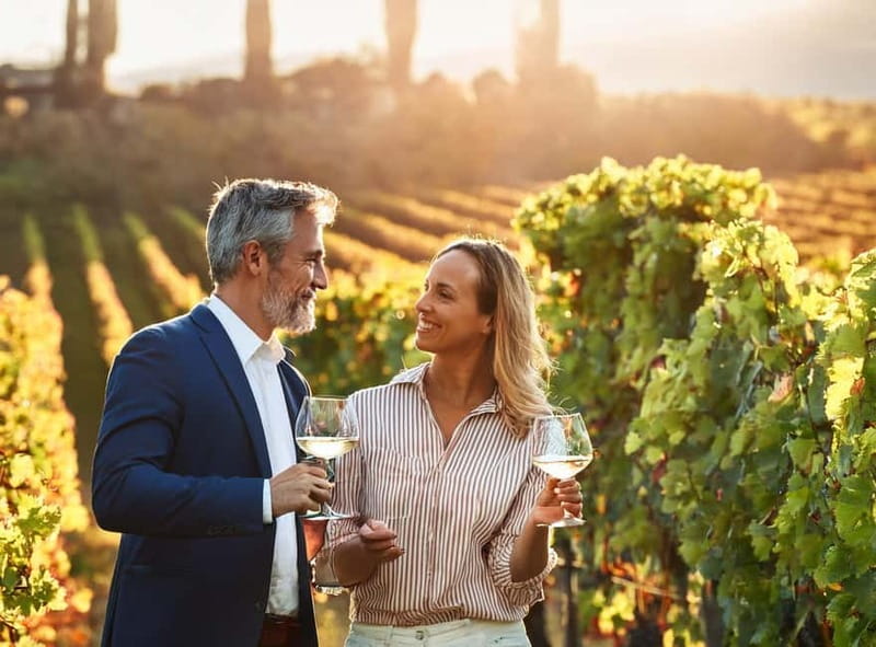 From Palma de Mallorca: Private Wine and Local Flavors Tour - Meeting your driver in Palma