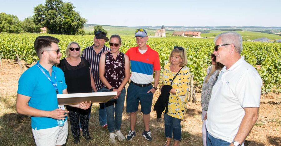 From Paris: Burgundy Region Winery Tour with Tastings - Key points to know before booking