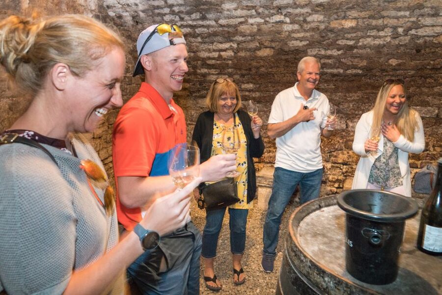 From Paris: Burgundy Region Winery Tour with Tastings - Who should book this Burgundy outing?