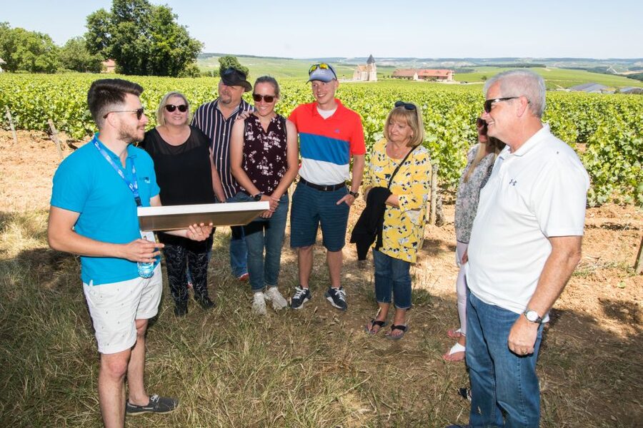 From Paris: Burgundy Region Winery Tour with Tastings - The first tasting at Domaine Jean-Marc Brocard