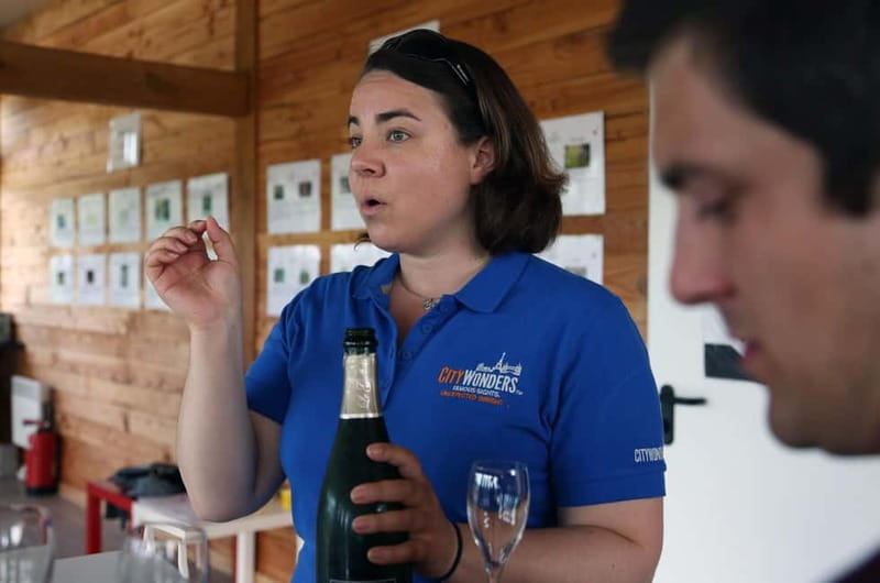 From Paris: Champagne Day Trip with 7 Tastings and Lunch - A guide can make or break the long day