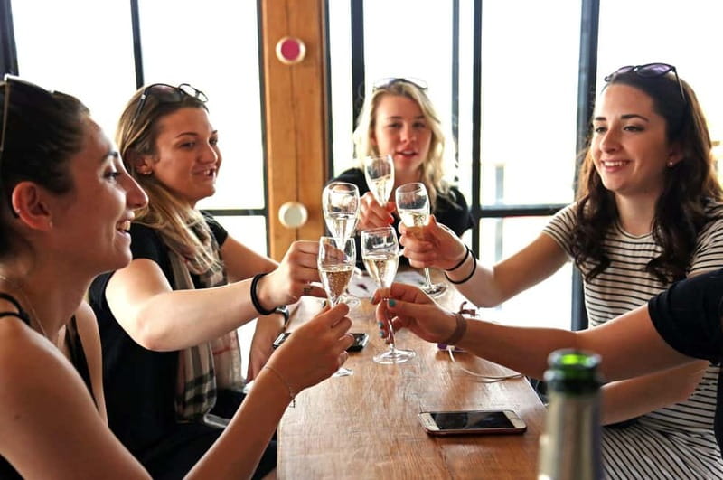 From Paris: Champagne Day Trip with 7 Tastings and Lunch - What the $293 price really buys you