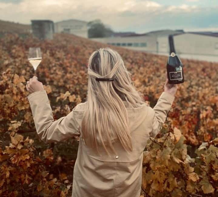 From Paris: Champagne Day Trip with 7 Tastings and Lunch - The second house and the family side of Champagne