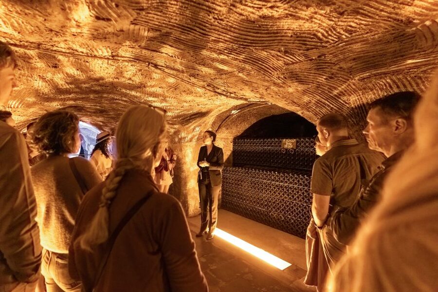 From Paris: Day Trip to Champagne with 8 Tastings & Lunch - What the guides add