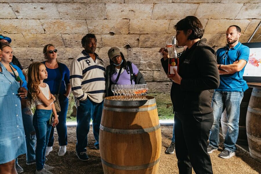 From Paris: Loire Valley Castles Day Trip With Wine Tasting - Key points to know before booking
