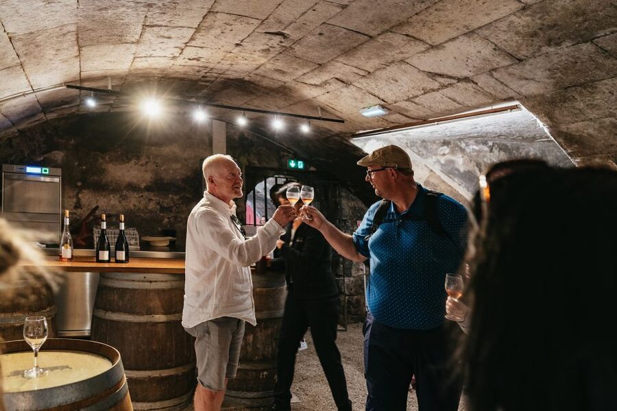 From Paris: Loire Valley Castles Day Trip With Wine Tasting - Should you book the Loire Valley castle tour?