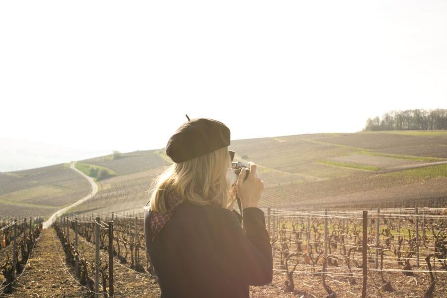 From Paris: Reims and Champagne Tasting Full-Day Tour - What the guides add