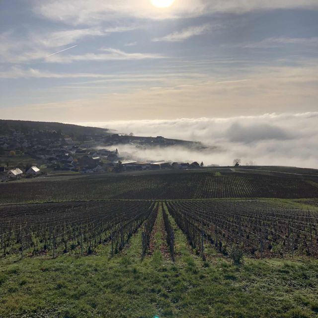 From Paris: Reims and Champagne Tasting Full-Day Tour - Timing, group size, and practical comfort