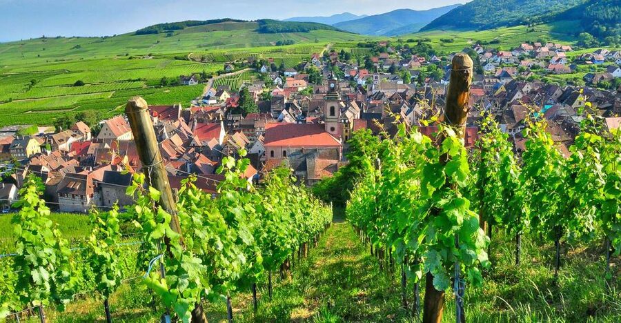 From Paris: Small-Group Champagne Day Trip with Six Tastings - Reims Cathedral and the coronation city