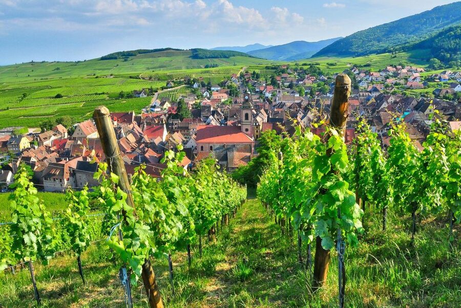 From Paris: Small-Group Champagne Day Trip with Six Tastings - Nicolas Feuillatte and the larger production model