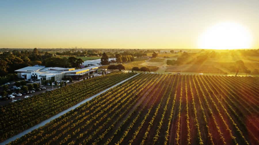 From Perth: Swan Valley Cruise, Winery, Cheese & Lunch - Key points to know before booking