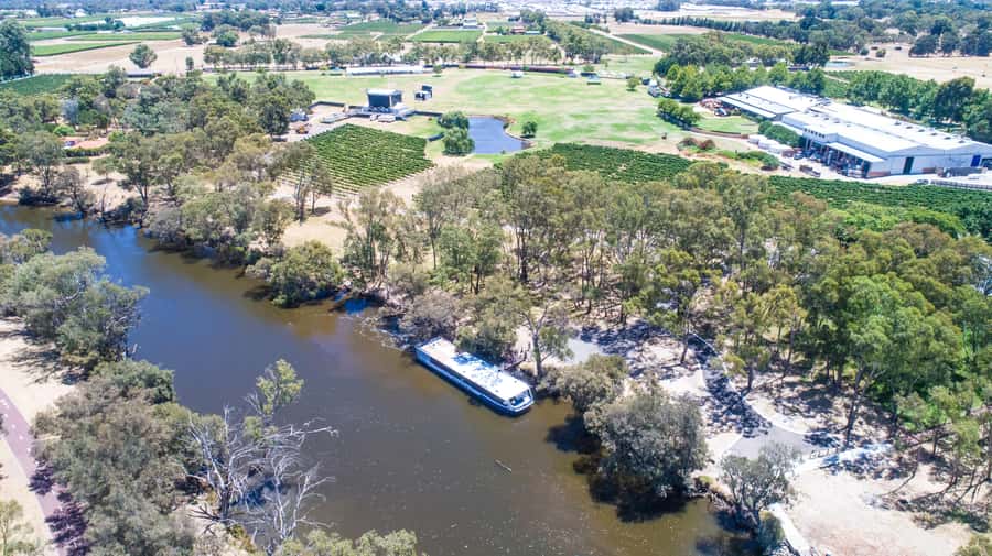 From Perth: Swan Valley Cruise, Winery, Cheese & Lunch - The return trip, afternoon food, and live music