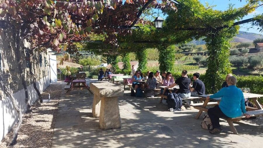 From Pinhão: Douro Valley Tour w/ Wine Tasting and Boat Trip - The viewpoint gives you the valley from above