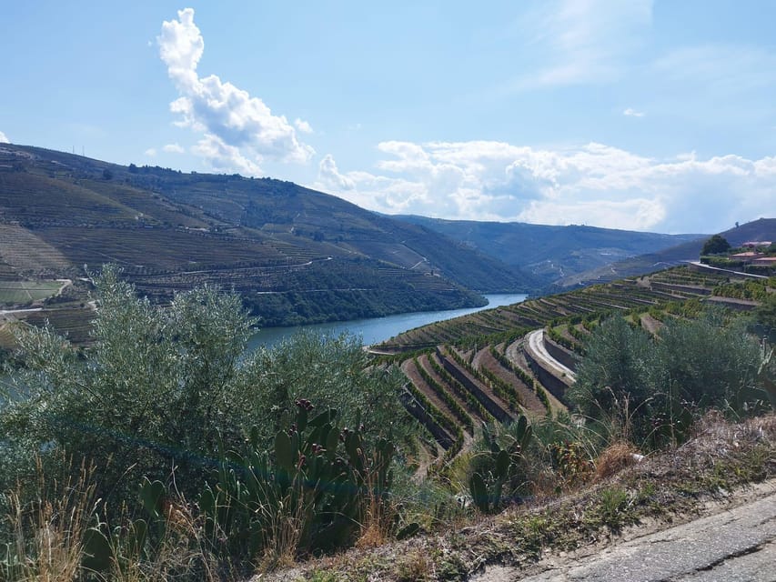 From Pinhão: Douro Valley Tour w/ Wine Tasting and Boat Trip - Riding through vineyard country by minivan