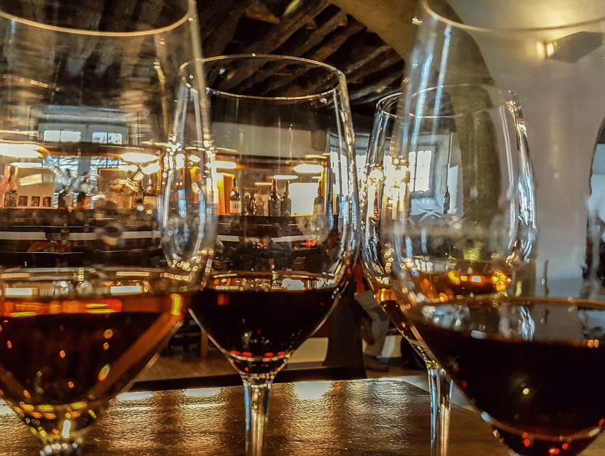 From Pinhão: Douro Valley Tour w/ Wine Tasting and Boat Trip - The guides make the difference