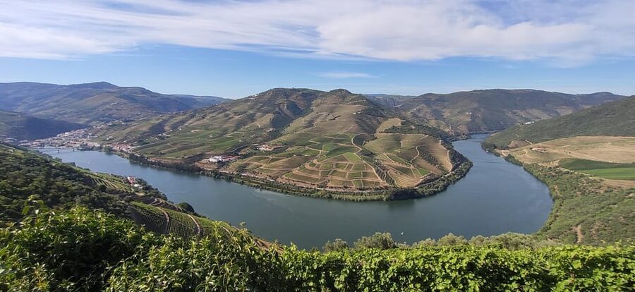 From Pinhão: Douro Valley Tour w/ Wine Tasting and Boat Trip - A 50-minute cruise on the Douro River