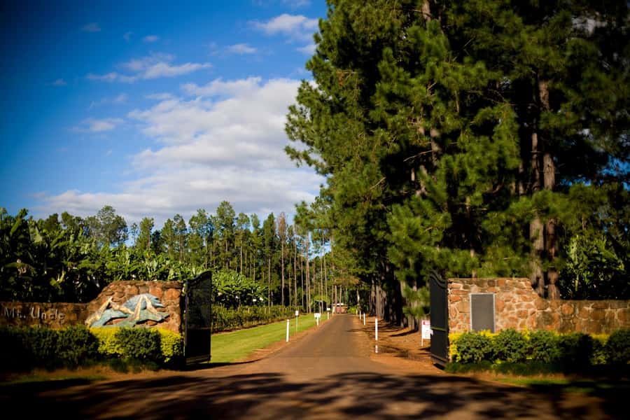 From Port Douglas: Atherton Tablelands Adventure - What $180 includes, and what it does not
