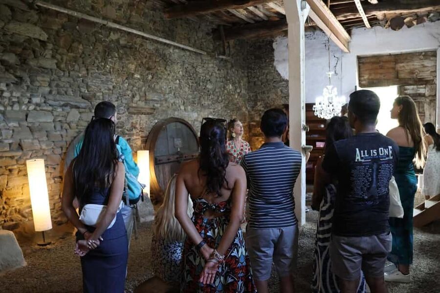 From Porto: 2 Boutique Wineries w/ Winery Lunch & 1-h cruise - Should you book it?