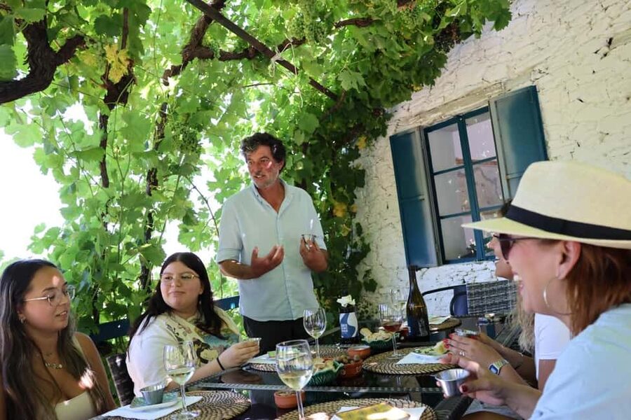 From Porto: 2 Boutique Wineries w/ Winery Lunch & 1-h cruise - Why this Douro day works so well from Porto