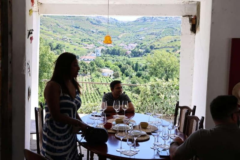 From Porto: 2 Boutique Wineries w/ Winery Lunch & 1-h cruise - The N222 and lunch among the vines